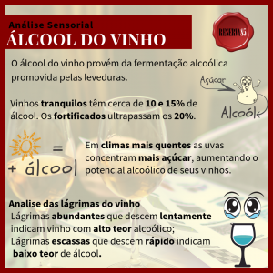 Álcool do vinho - Análise sensorial - infográfico