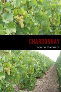 Casta Chardonnay