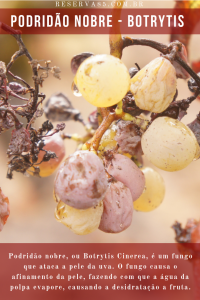 Podridao-nobre-botrytis-cinerea - infográfico