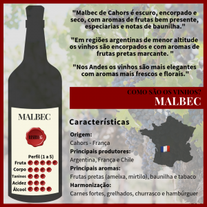 Características Como são os vinhos MALBEC - Infográfico