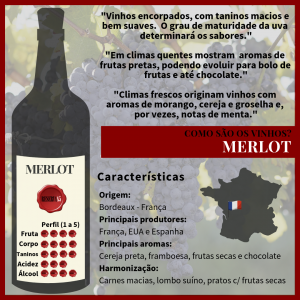 Características Como são os vinhos MERLOT - Infográfico