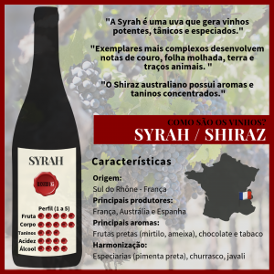 Características Como são os vinhos Syrah ou Shiraz - Infográfico