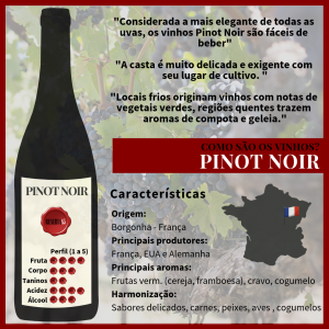 Características Como são os vinhos pinot noir - Infográfico