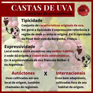 Infográfico: Castas de uva internacionais autóctones tipicidade expressividade