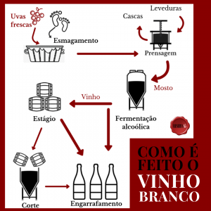 Infográfico - Como é feito o vinho branco