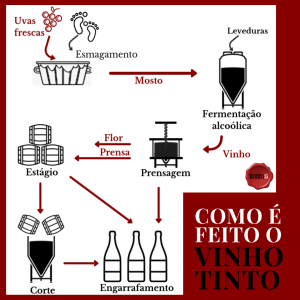 infográfico - como é feito o vinho tinto