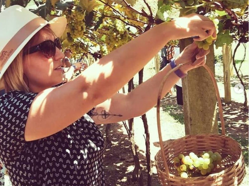 Festa da Vindima no Brasil