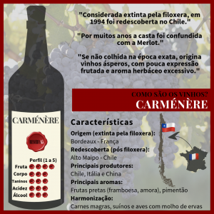 Características Como são os vinhos CARMÉNÈRE - Infográfico