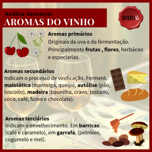 Aromas do vinho classificação primários secundários e terciários - Analise sensorial