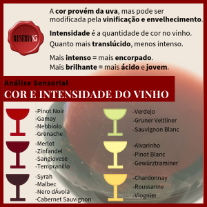 Cor e Intensidade do vinho - infográfico