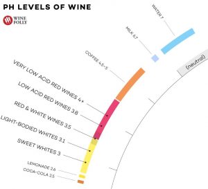 Escala Acidez do vinho - pH Wine Folly