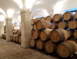 Visita a vincolas em Lisboa - curso vinho portugal