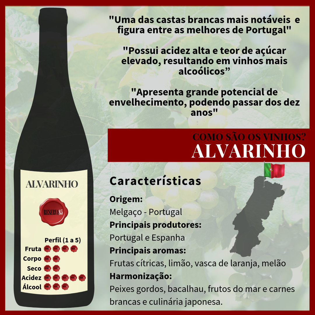 Características Como são os vinhos ALVARINHO - Infográfico