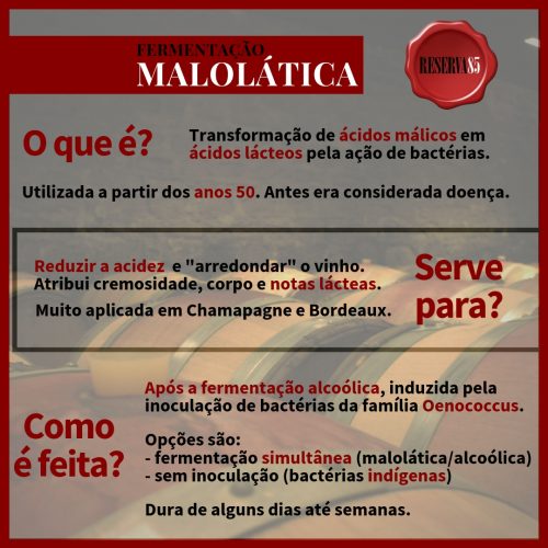 fermentação malolática - infográfico