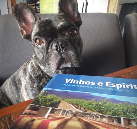 Alternativas para estudar o vinho