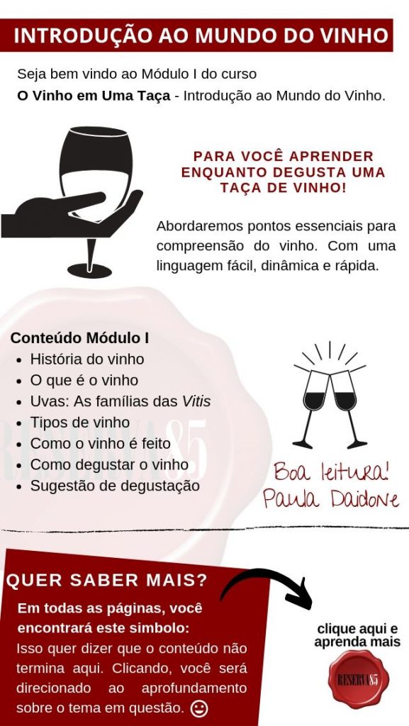 Roteiro estudo curso introdução ao mundo do vinho para iniciantes