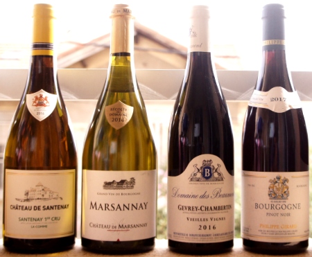 melhor vinho para um iniciante pinot noir e chardonnay