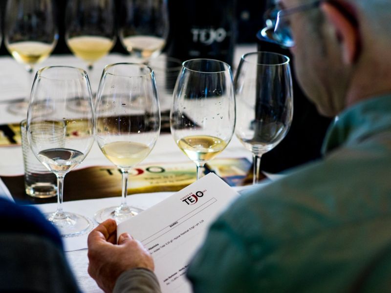 Tejo Academia fomenta a região em Portugal