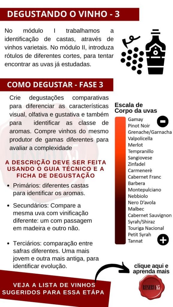 Exercícios de degustação de Vinhos fase 3