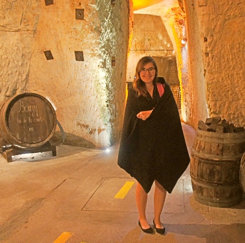 Maison-de-Champagne-para-visitar-veuve-clicquot-cobertor