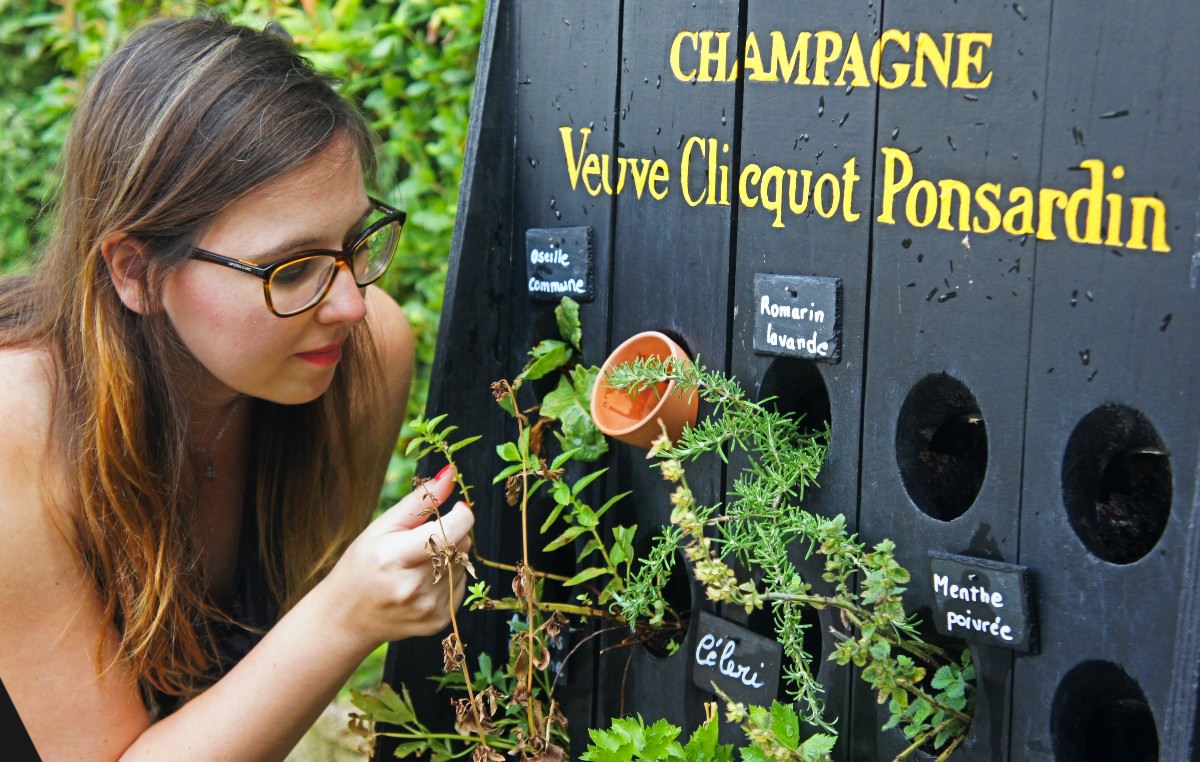 Qual a melhor Maison de Champagne para visitar