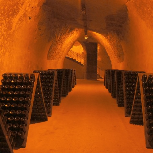 taittanger-maison-champagne-visitar