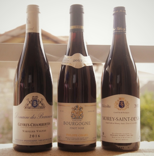 vinho pinot noir frança burgogne