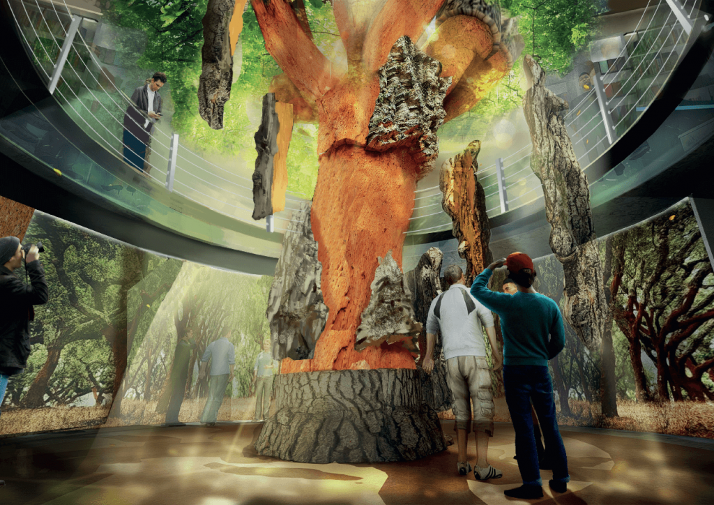 wow porto gaia cortica