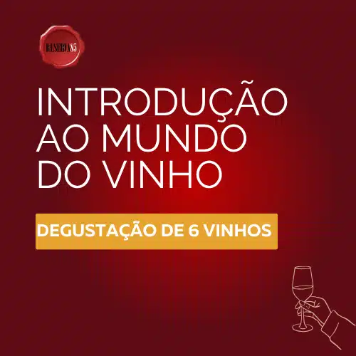 Formação Introdução ao mundo do vinho