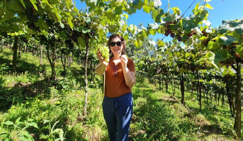 Jornalista de vinhos mais lembrada do brasil