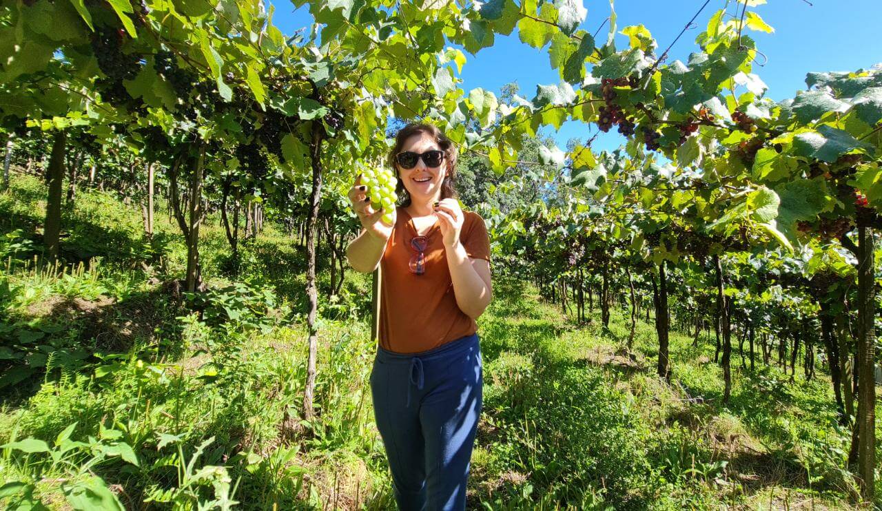 Jornalista de vinhos Paula Daidone está entre profissionais mais lembradas do Brasil