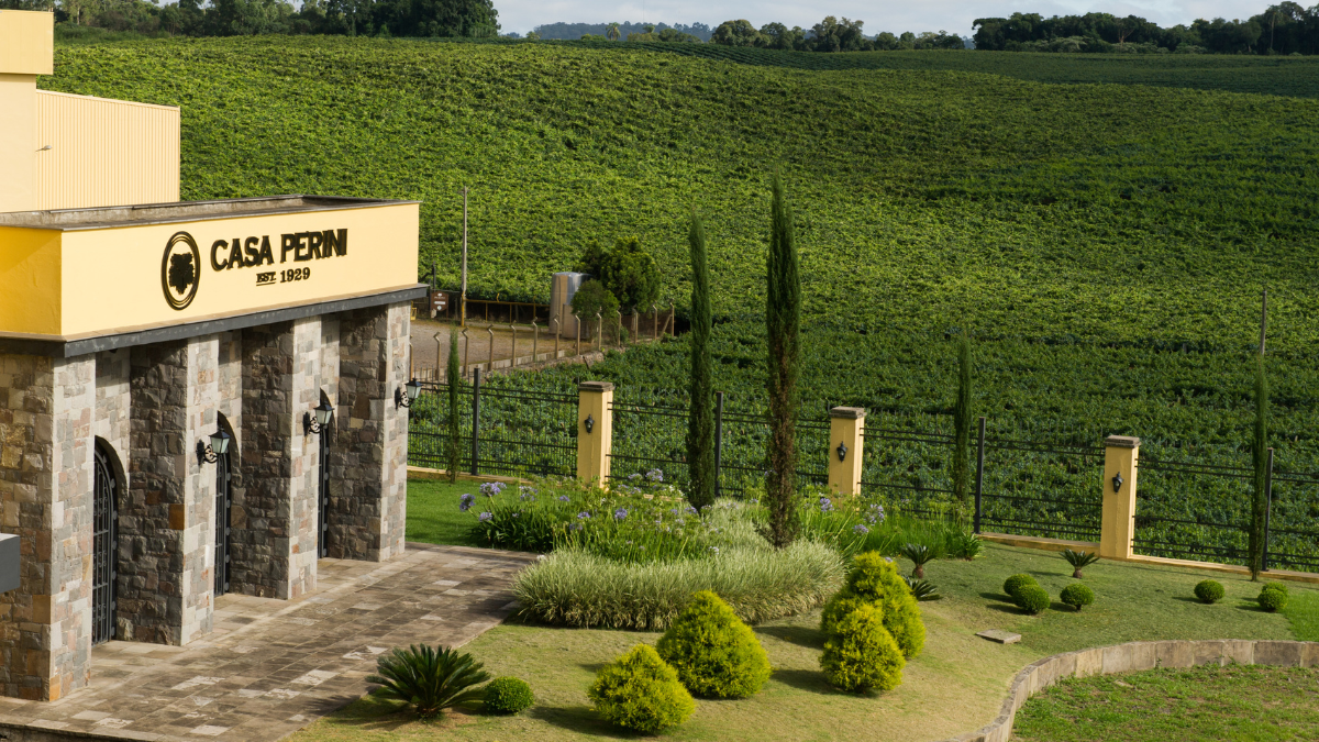 Casa Perini Music Day: show do Alok em meio aos parrerais