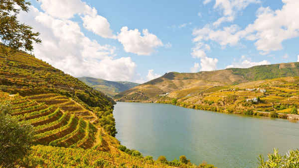 Douro & Porto Wine Festival acontece à beira do Rio Douro