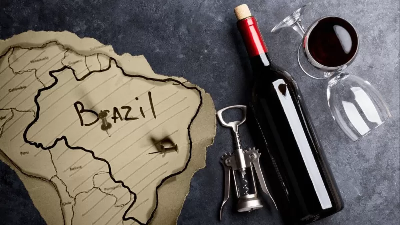 3 livros sobre a história do vinho no Brasil