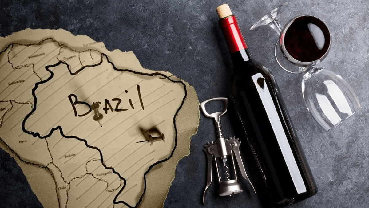 3 livros sobre a história do vinho no Brasil