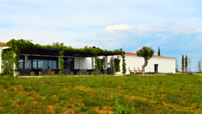 5 vinícolas para visitar no Alentejo em Portugal