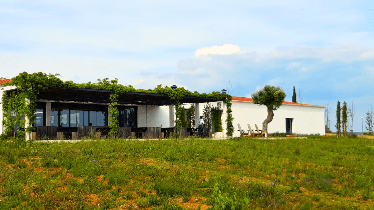 5 vinícolas para visitar no Alentejo em Portugal