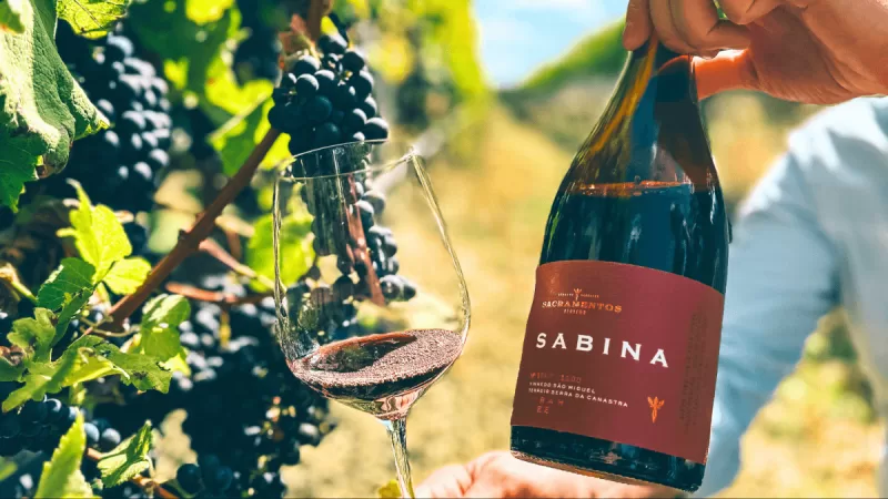 O melhor vinho tinto do Brasil