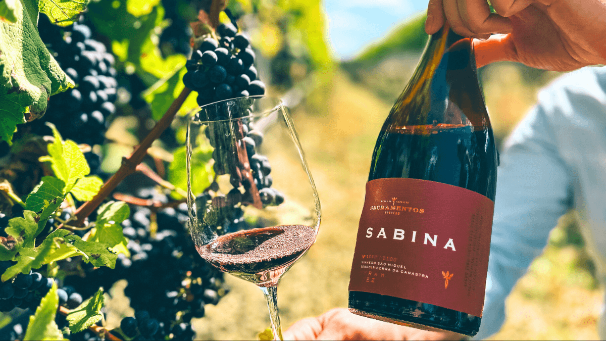 O melhor vinho tinto do Brasil