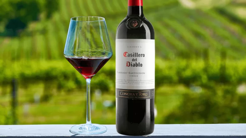 Conheça a história da Vinícola Concha y Toro