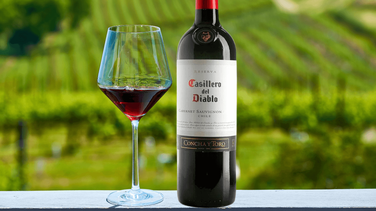 Conheça a história da Vinícola Concha y Toro