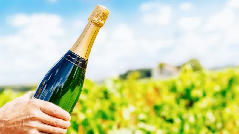 As melhores safras de Champagne