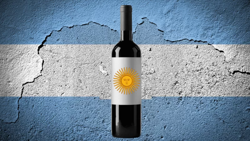 Os melhores vinhos argentinos
