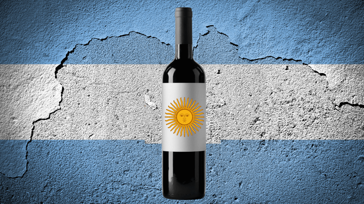 Os melhores vinhos argentinos