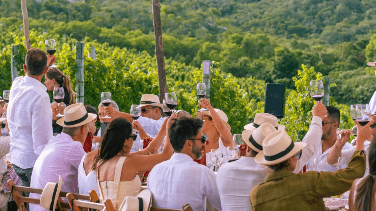 Punta Wine Trips: viagem pelas vinícolas de Punta com o Reserva85