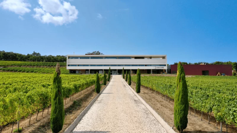 Vinícolas para visitar em Lisboa