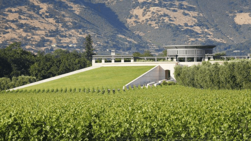 Opus One reforça aposta na viticultura regenerativa