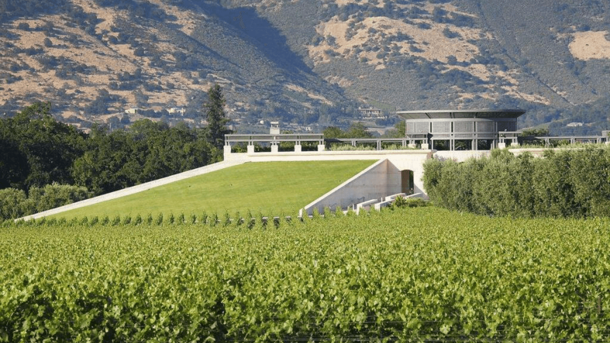 Opus One reforça aposta na viticultura regenerativa