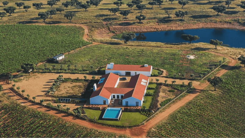 Herdade da Malhadinha Nova: enoturismo de luxo no Alentejo