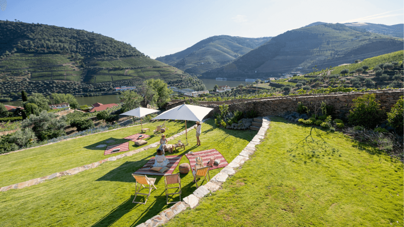Merenda na Vinha: Symington realiza picninc em vinhedo no Douro